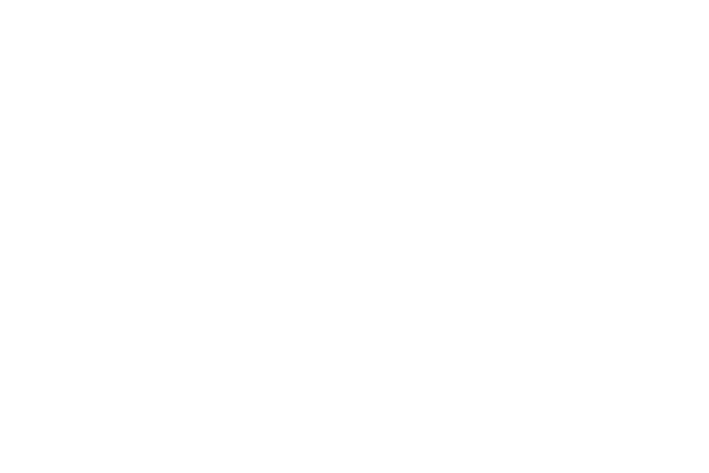 mikkeli
